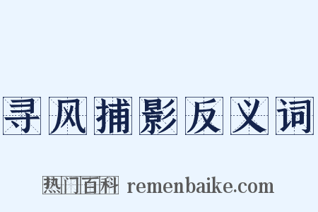 寻风捕影反义词是什么意思的图片